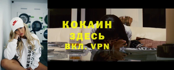 ALPHA PVP Богородицк