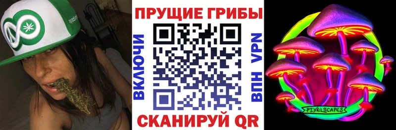 где можно купить наркотик  Петухово  Псилоцибиновые грибы Psilocybine cubensis 