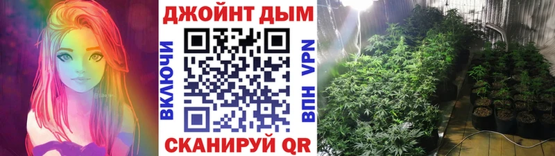 где купить наркоту  Петухово  Каннабис гибрид 